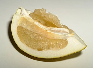 Pomelo a cukrovka