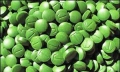 Chlorella pro a proti