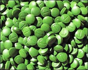 Chlorella pro a proti