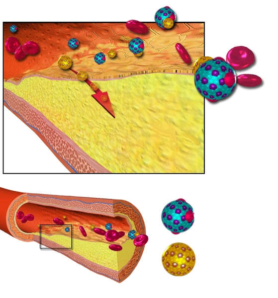 Přírodní léčba cholesterolu